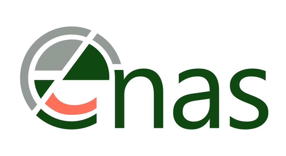 ENAS logo